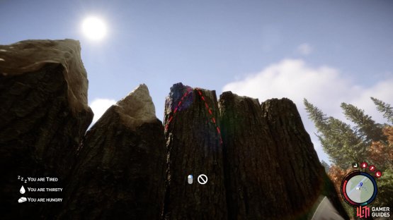 You can look at the top of each log with an axe in your hand to see the outline for cutting a spike.