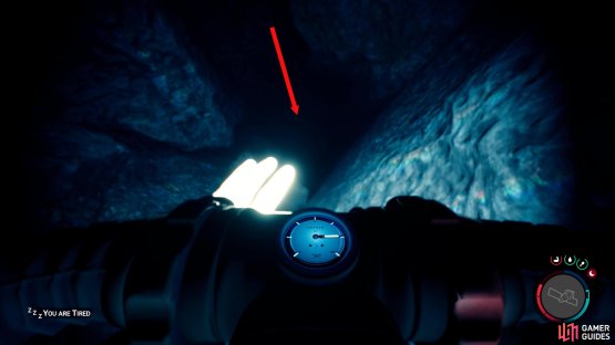 Follow the hole down until you reach the bottom then rotate the camera to find another path.