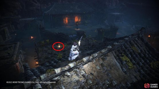 Walk to the other side of the roof to find the shell.