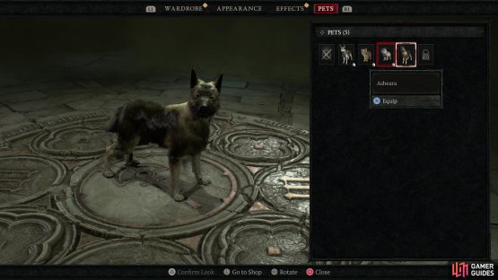 Once unlocked, pets can be equipped via Wardrobes.