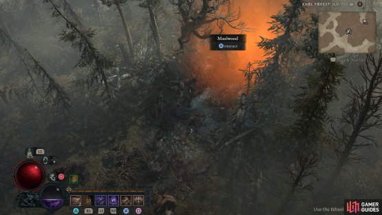 where you&rsquo;ll find the Maulwood dungeon.