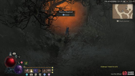 where you&rsquo;ll find the Nostrava Deepwood dungeon.