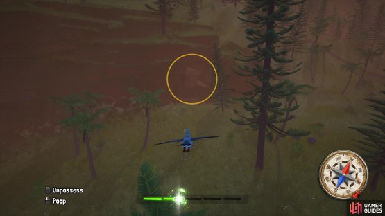 head into the cave to find the next chest.