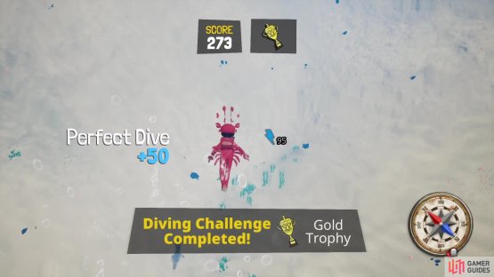You will also want the bonus for a clean entry into the water