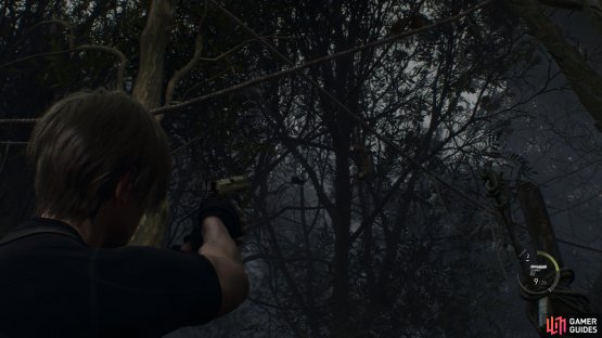 to find the treasure hanging from the tree.