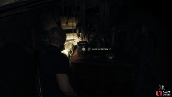 to retrieve the Antique Camera from the Wayshrine.