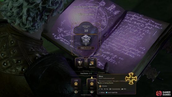 Be prepared to use buffs from your support classes like Paladin, Cleric, Druid and Bard to make the literacy session go in your favor.