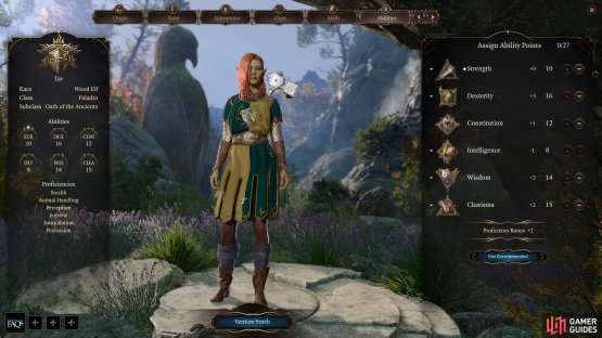 Wood Elves and other speedy races can make for interesting Dexterity-focused Paladins.