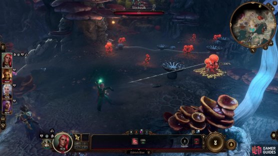 and clear a field full of Torchstalk and Timmask.