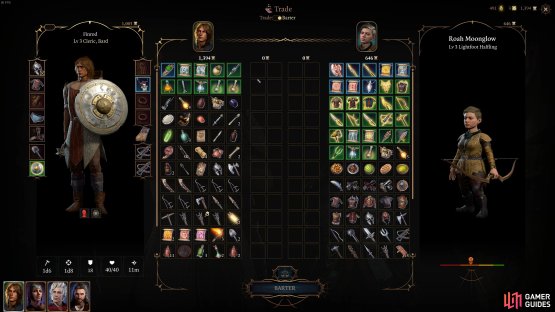 Roah has a lot to offer in terms of equipment upgrades, potions, scrolls, and utility items.