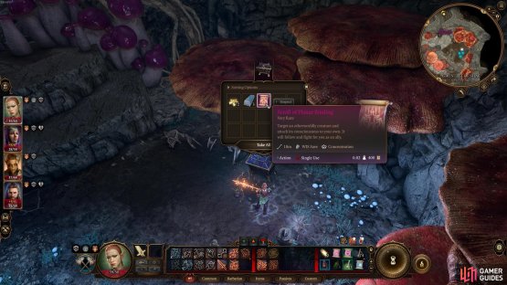 but if you defeat the Cloaker the chest in question will have a very rare item!