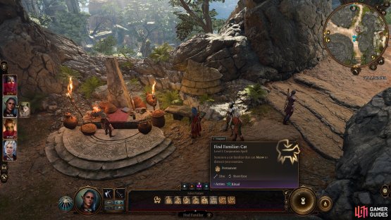 You can choose to select one of the familiars, 