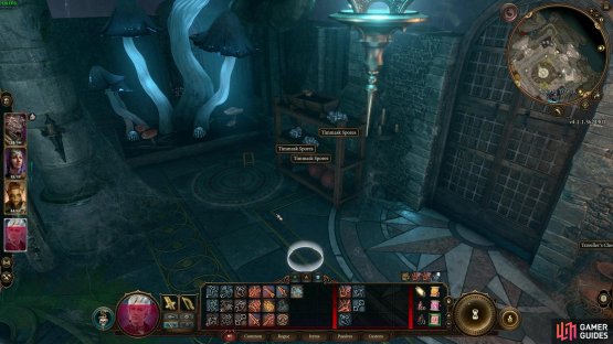 You can get the Timmask Spores from this shelf in the Arcane Tower.