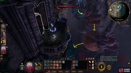 This angle shows where both routes enter the Arcane Tower to get the mushrooms.