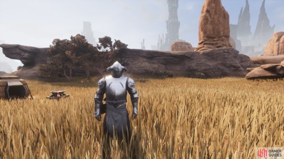 The full Champion&rsquo;s armor set once equipped