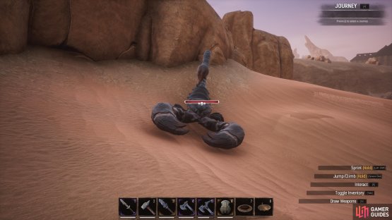 You&rsquo;ll find the King Scorpion in the same position of the sand dunes each time.