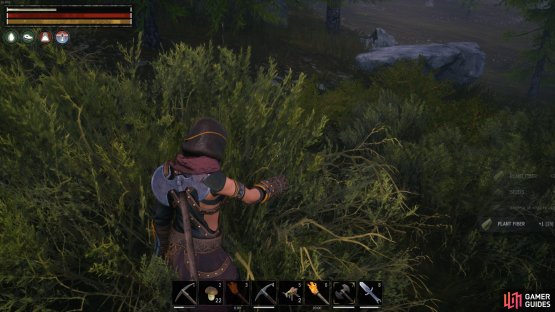 and you can handpick plenty of seeds from bushes.