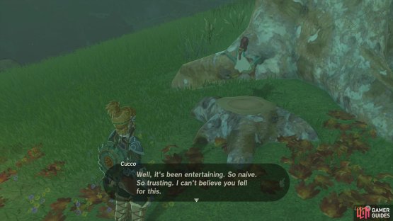 It’s a fake All-Clucking Cucco!