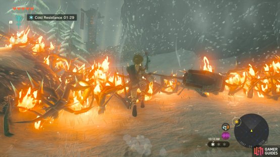 Use fire to burn away the bramble thorns