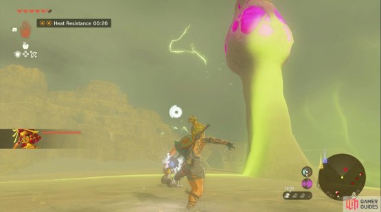 Use Riju&rsquo;s lightning to destroy the mushrooms outside of the Gerudo Town gates