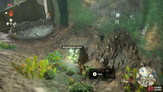 Pick up Brightbloom Seeds until you  reach the Bubbulfrog