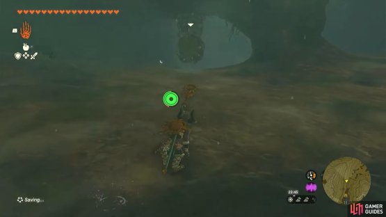 The Like Like hanging down