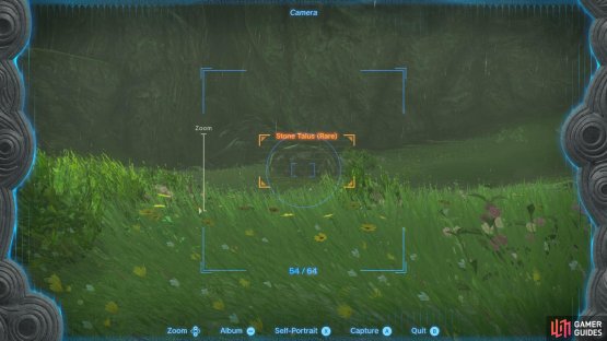 You can also use your camera to see if a !Stone Talus is rare or not
