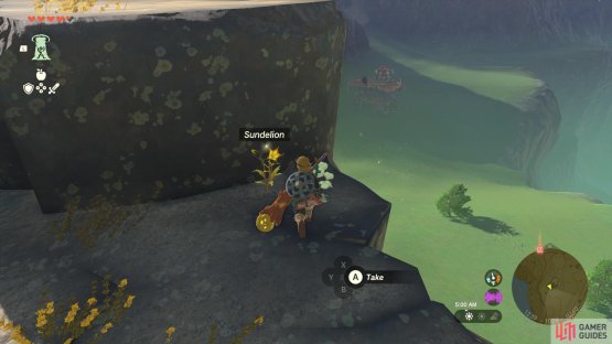 !Sundelions can be found while exploring, especially in higher places