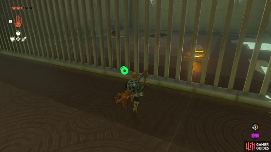Your goal in the second area is to first get into the caged section with the ball