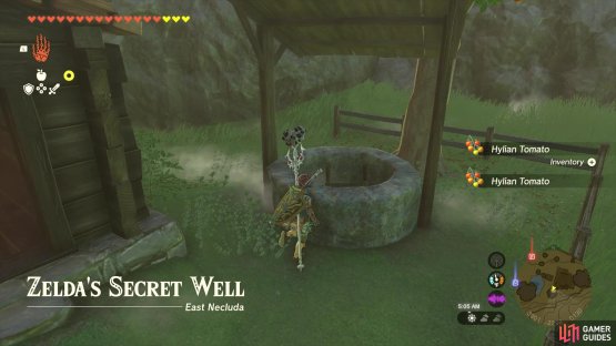 You will have to journey to Zelda&rsquo;s Secret Well to begin this side quest.