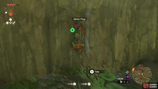 !Sticky Frogs can be found outside of caves