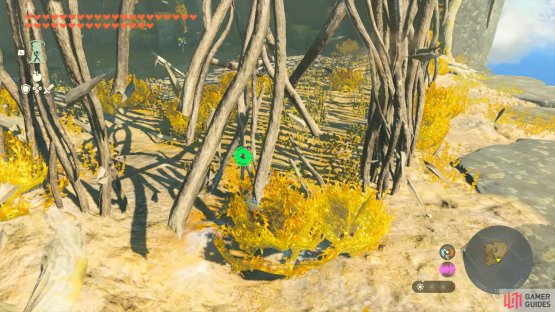 Chopping down the vines to enter the subsequent area