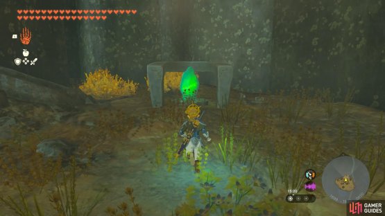 Heading to the area within where the crystal is kept