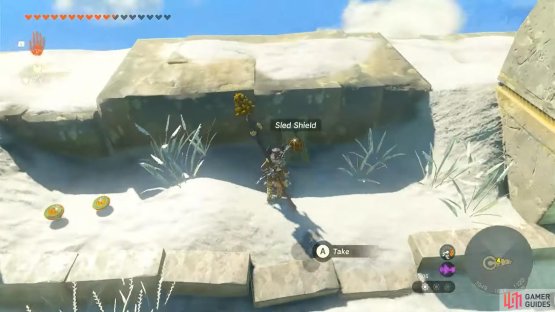 Picking up the available Sled Shield