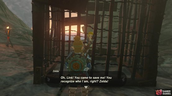 Locate Zelda, who&rsquo;s being kept in a cage by the Yiga Clan