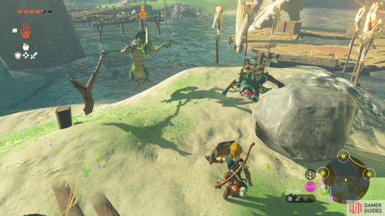 Blue Bokoblins and Lizalfos both call these wetlands home.