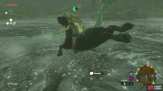 Once you catch a horse, you&rsquo;ll need to soothe it before it bucks you.
