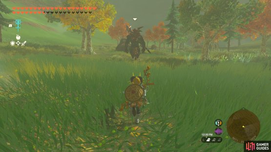 Red Lynels are the weakest Lynels in the game