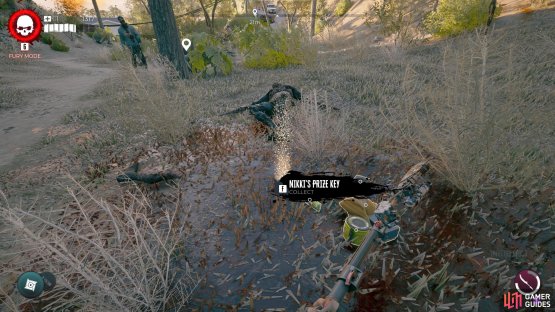 !Nikki&rsquo;s Prize Key drops after defeating the named !Butcher.
