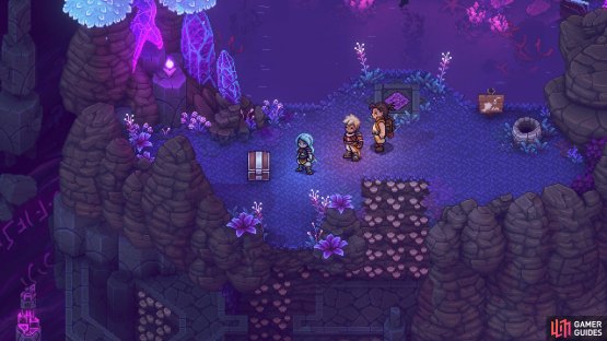 The final two chests are dependent on how you complete the order of the rooms