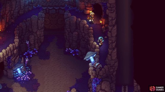 The first chest is after your first battle with the Luslugs.