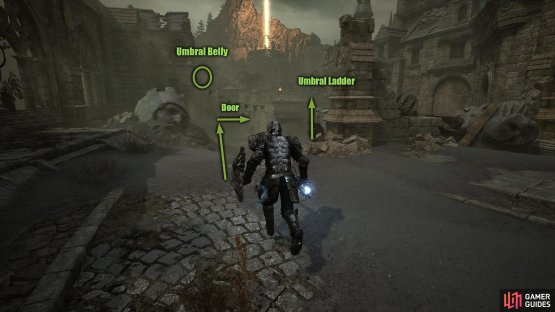 Follow the path down from the Vestige, and head through the door to the right. This may be blocked, so you will have to destroy the Umbral Belly.