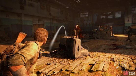 then use Molotovs on the Bloater to weaken it. 