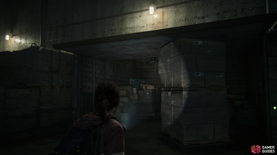Use the Trolley to keep the shutter up so you can walk across it