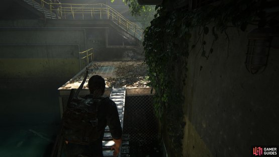 then use the ladder to create a bridge.