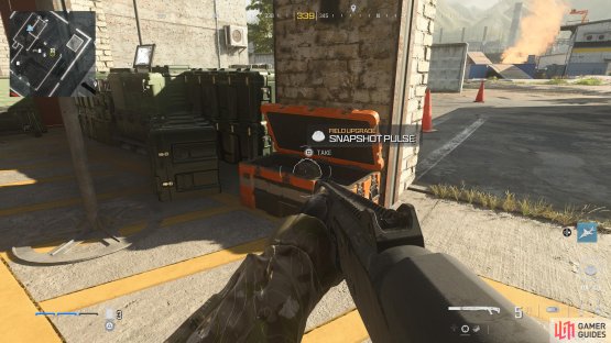to find the Snapshot Pulse.
