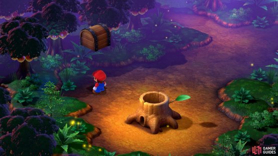 When you exit the cave, jump in the northwest corner to find the second hidden treasure.