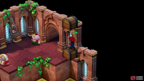 Hidden Treasure 4: Go through the door at the back in the Birdo Boss room. Defeat the Pinwheel in the following room, and then jump on the chest to the right. The treasure is above the chest.