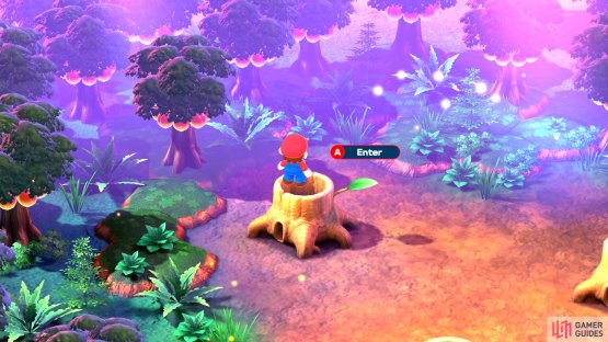 In the room of stumps, enter the lone stump at the back.