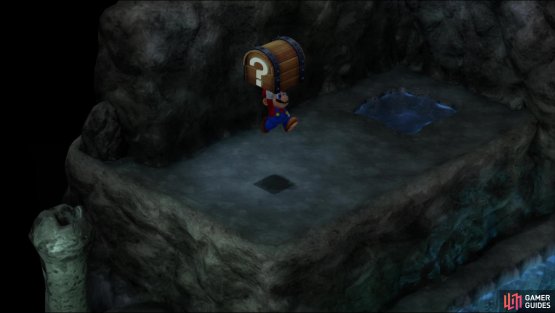 then ascend up some bubbles to reach a ledge with a chest containing a Max Mushroom.